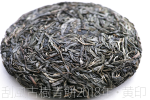 刮風古樹青餅2018年・黄印